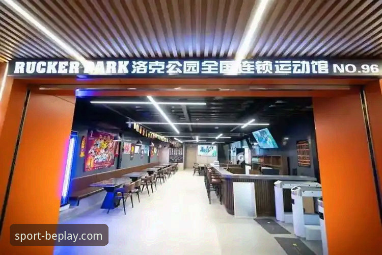 资深球迷分享：尤伯杯半决赛观赛体验与beplay体育平台使用心得